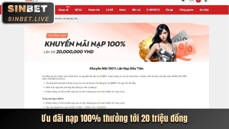 Chương trình hoàn trả hàng tuần cho cá cược thể thao
